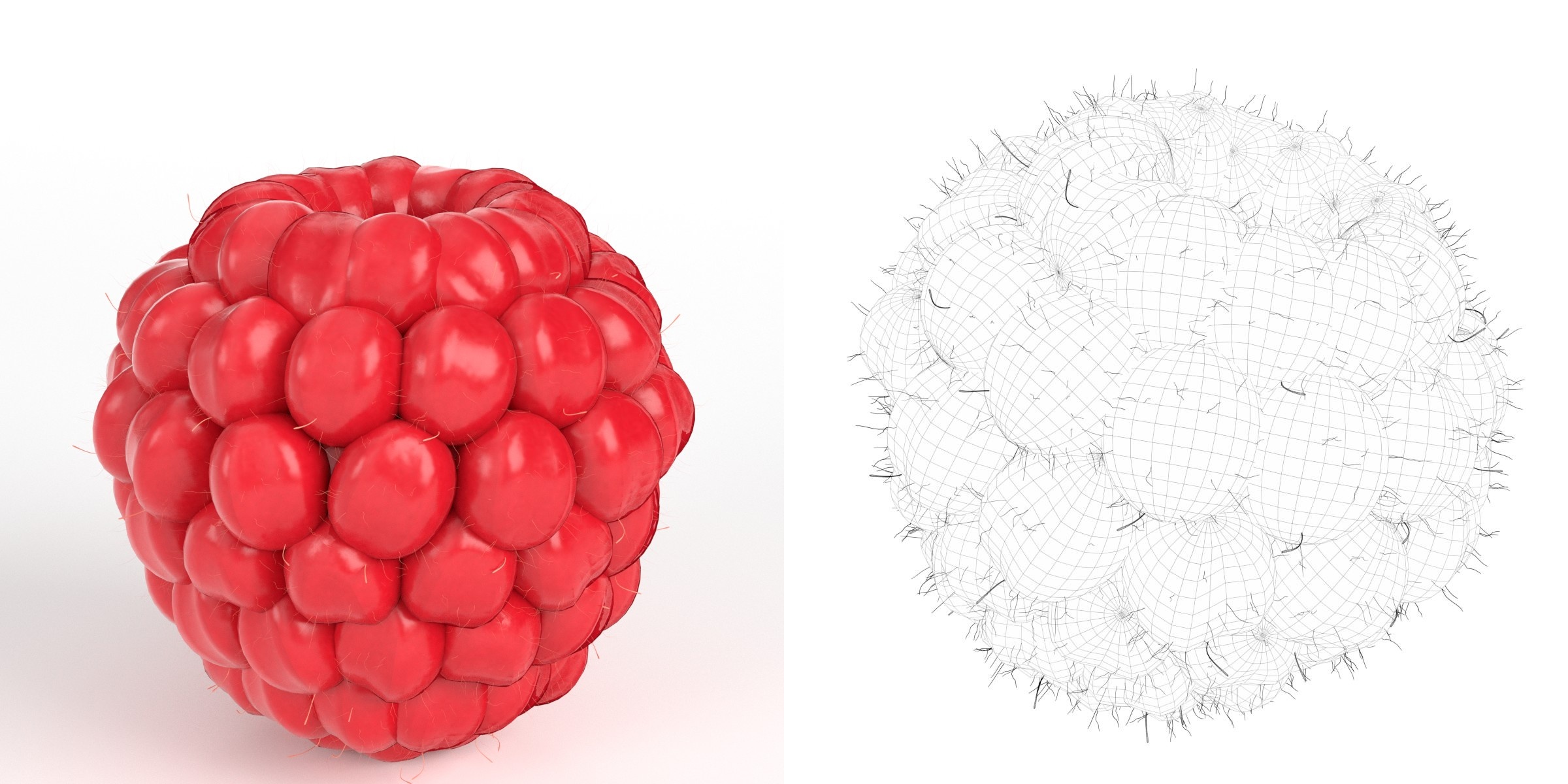 3D-Modell - Himbeere