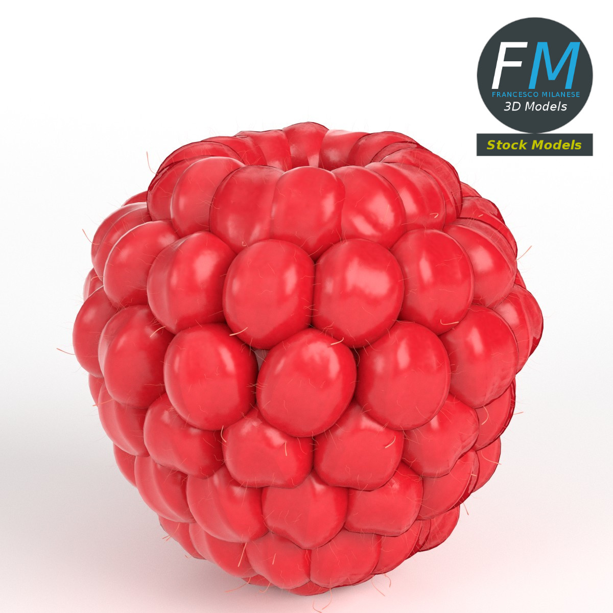3D-Modell - Himbeere - 01