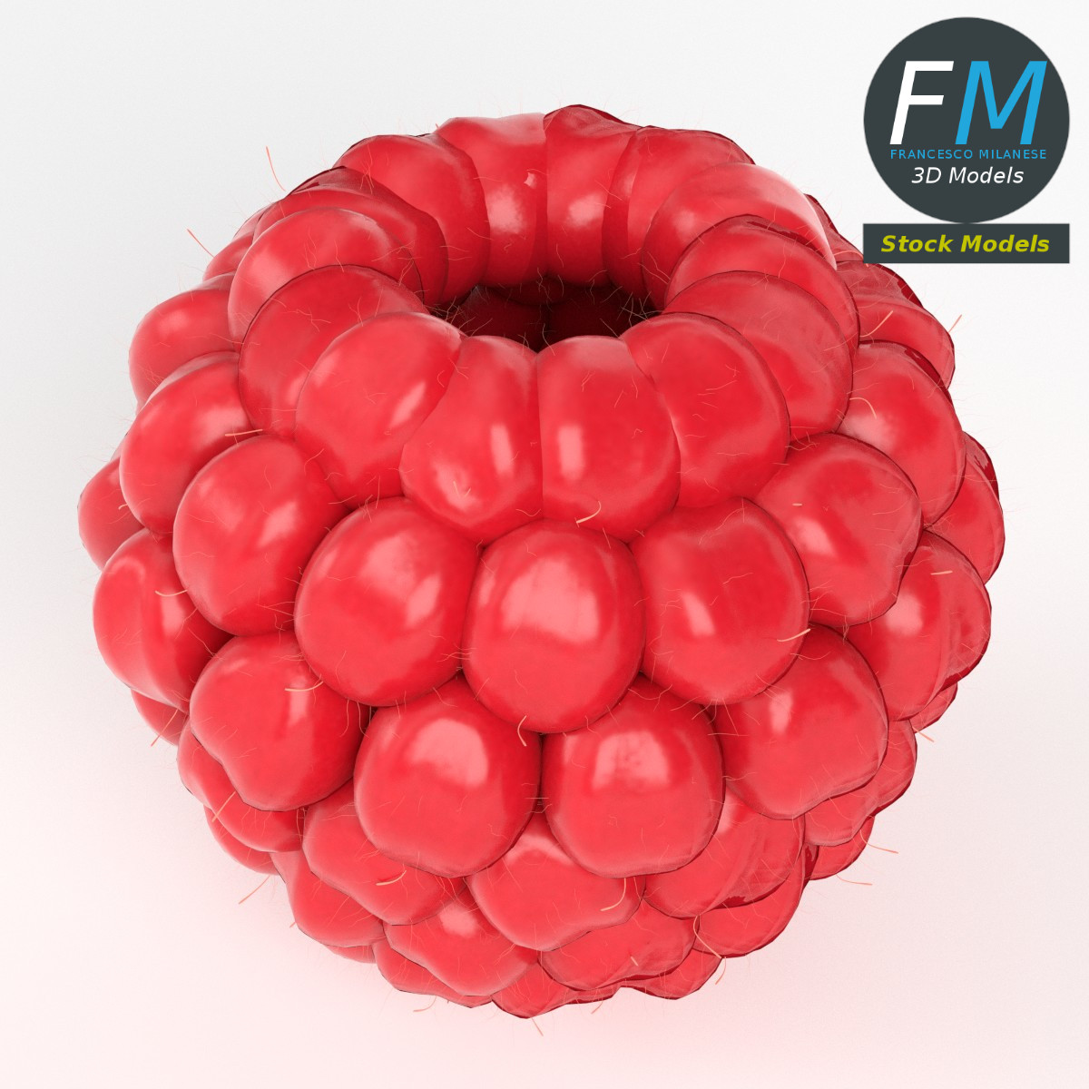 3D-Modell - Himbeere - 02