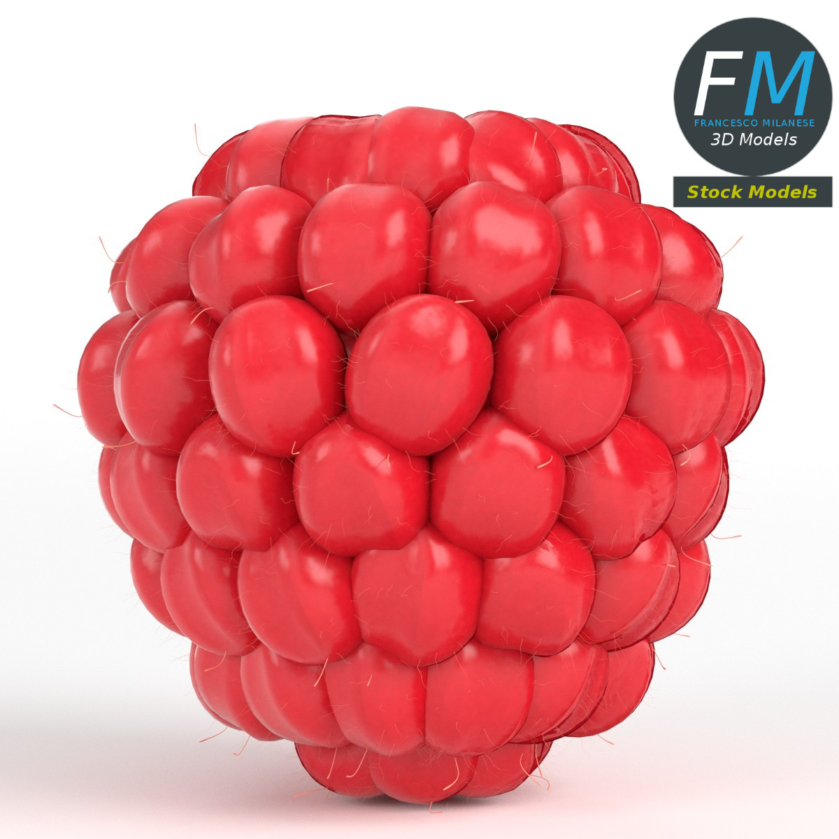 3D-Modell - Himbeere - 03