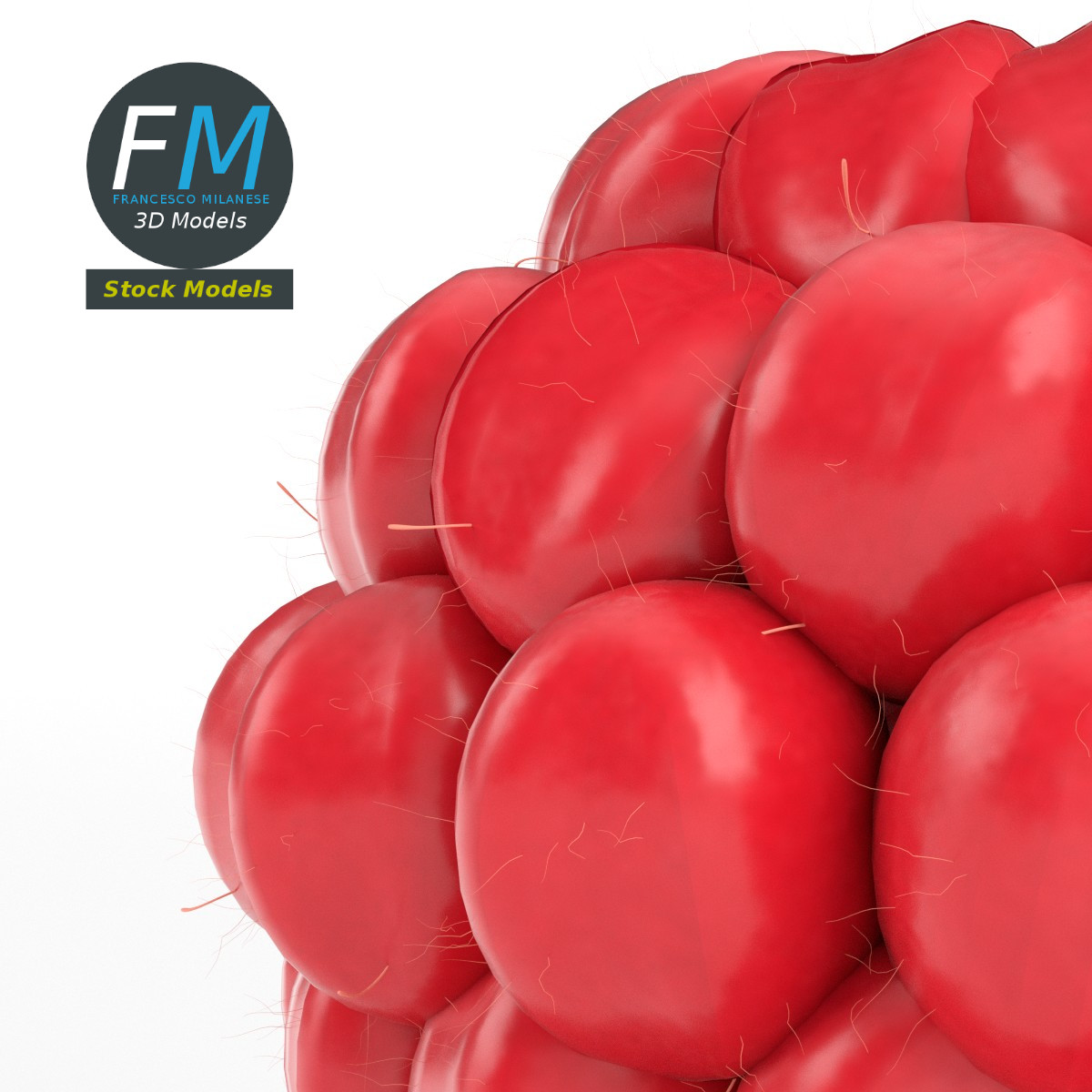 3D-Modell - Himbeere - 04