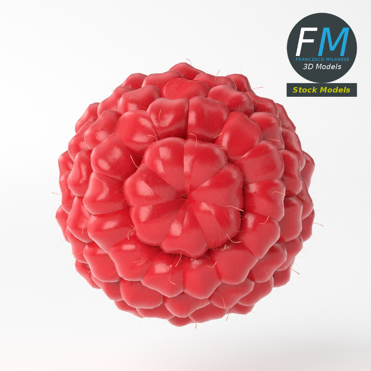 3D-Modell - Himbeere - 05