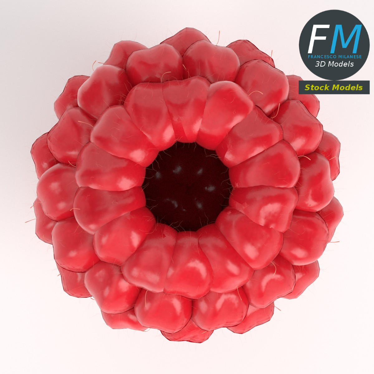 3D-Modell - Himbeere - 06