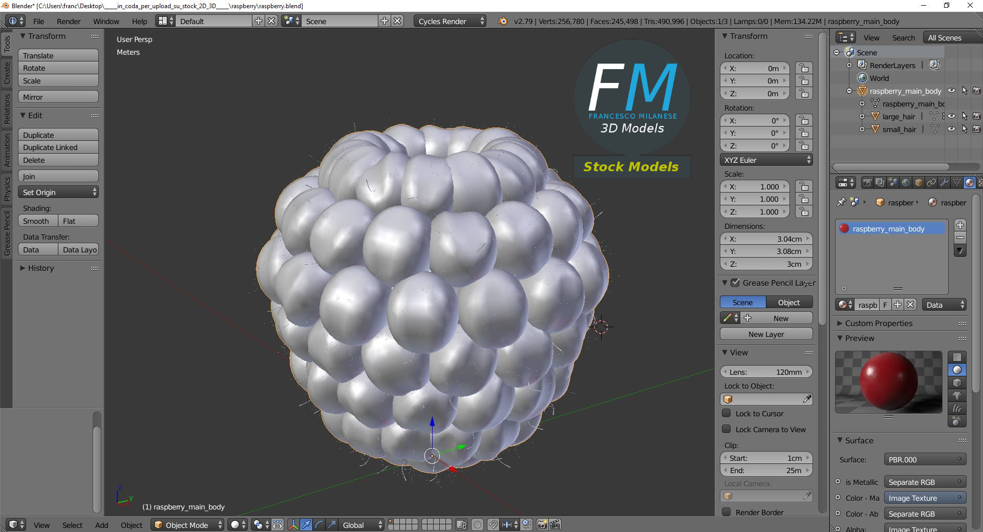 3D-Modell - Himbeere - 09