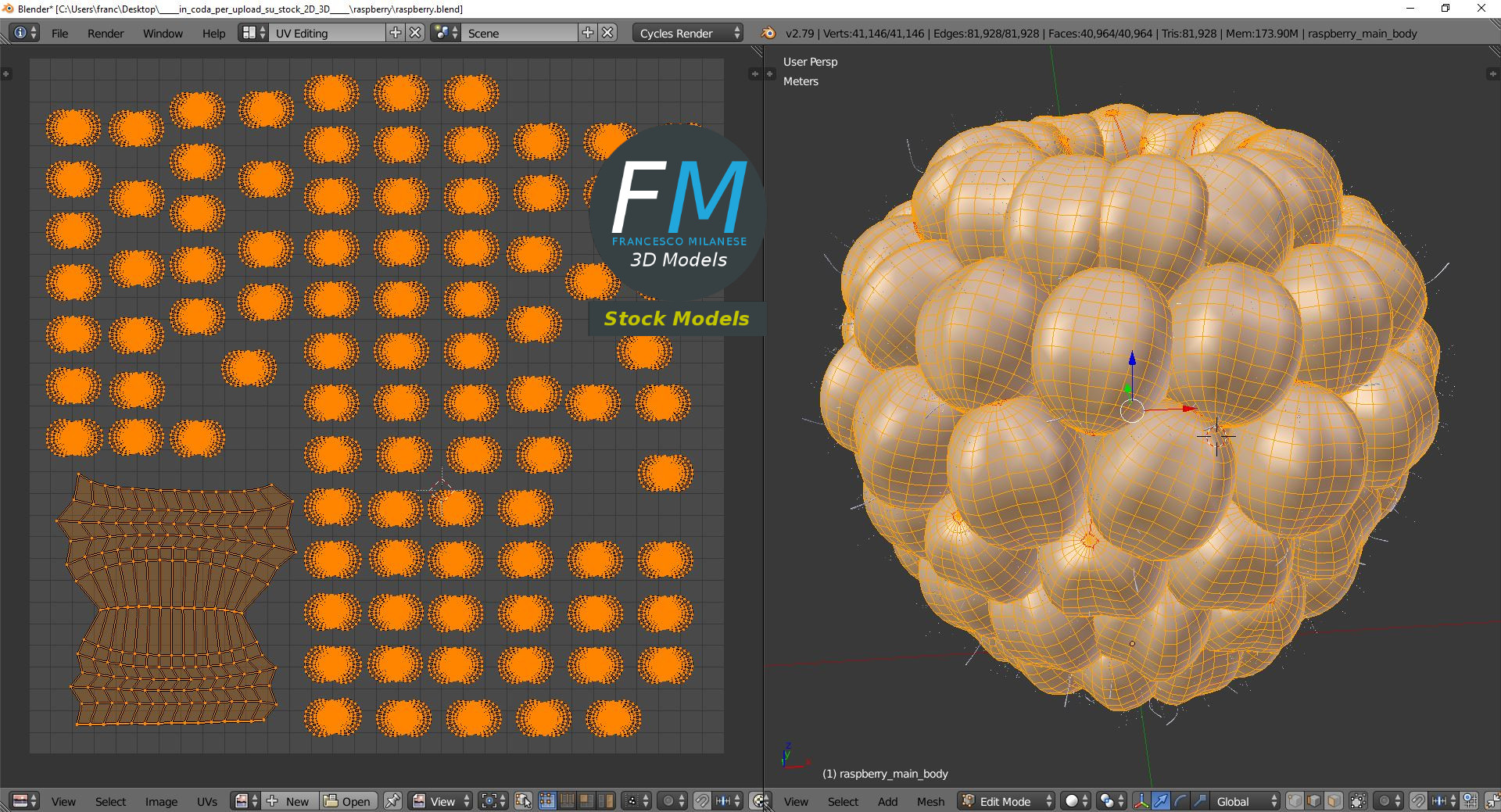 3D-Modell - Himbeere - 10