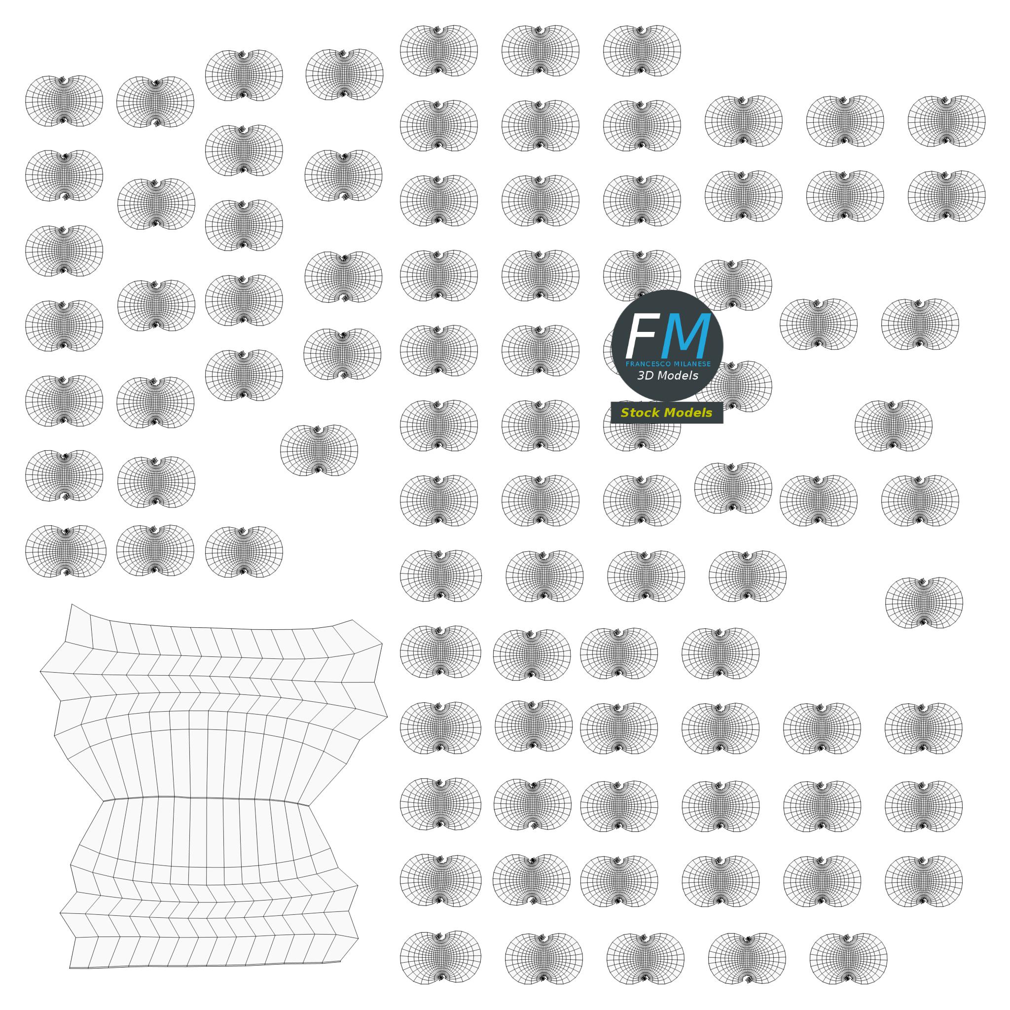 3D-Modell - Himbeere - 12
