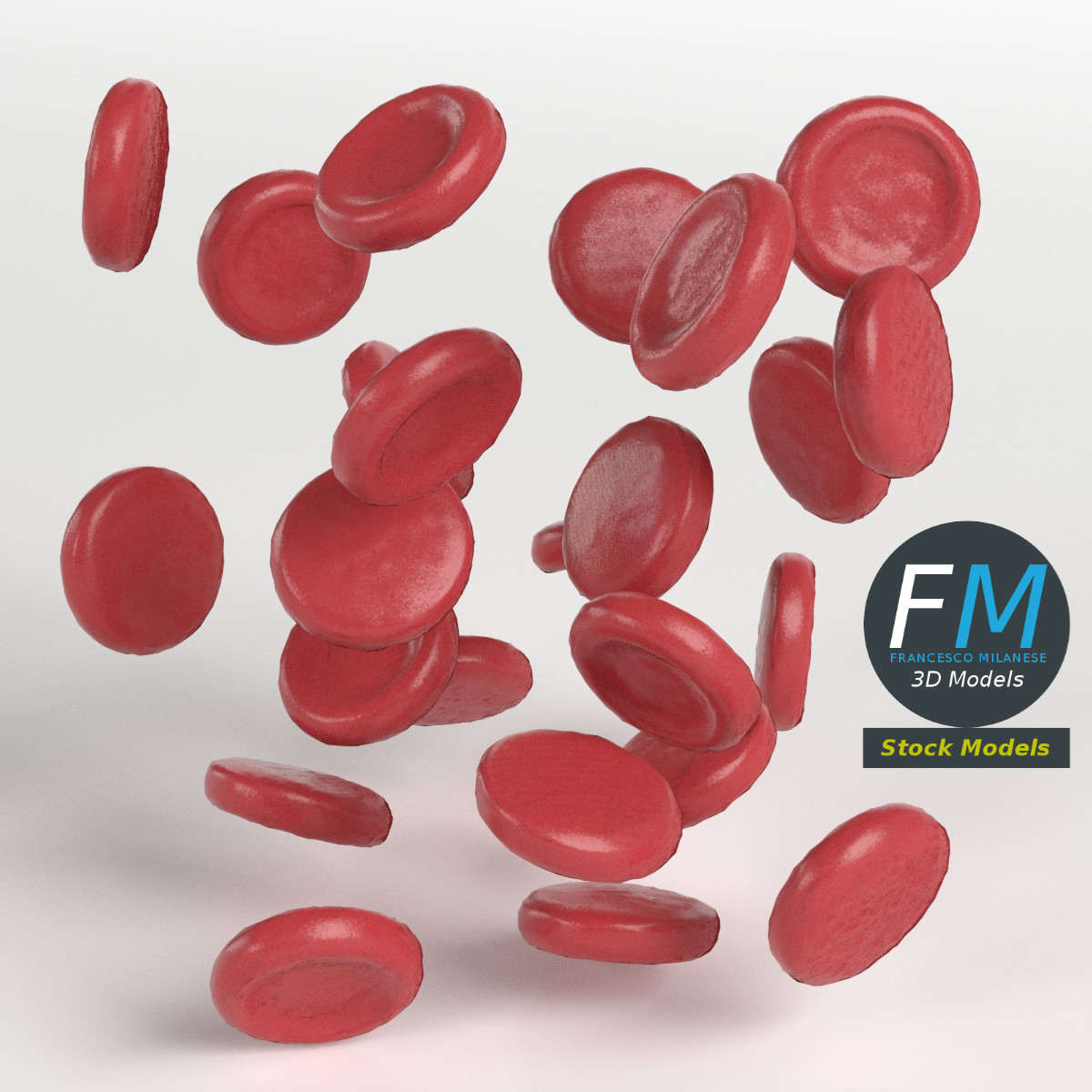 3D-Modell - Rote Blutkörperchen - 01