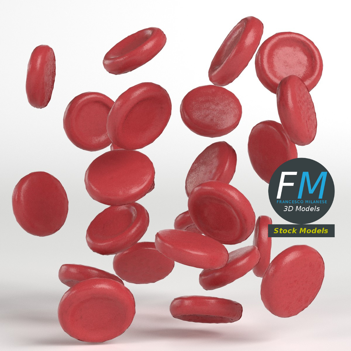 3D-Modell - Rote Blutkörperchen - 03