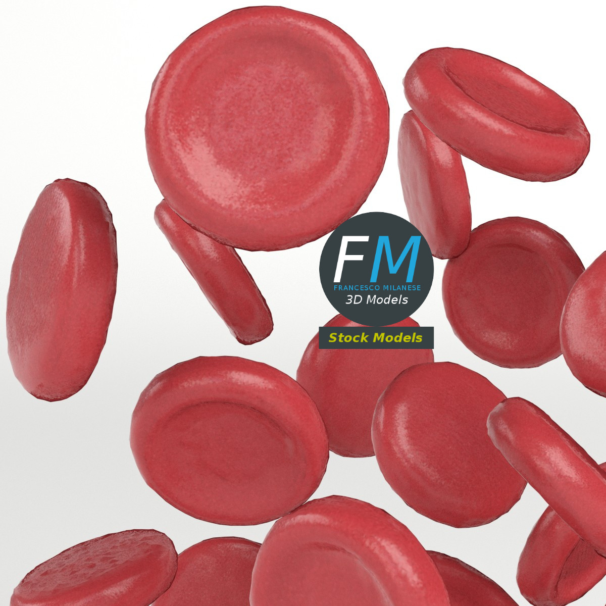 3D-Modell - Rote Blutkörperchen - 04