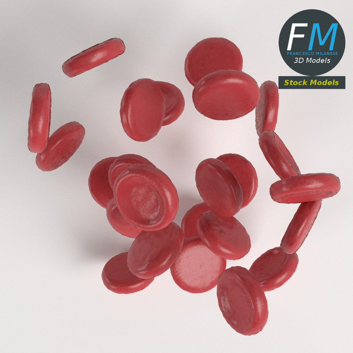 3D-Modell - Rote Blutkörperchen - 06