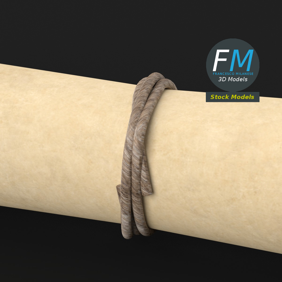 3D-Modell - Aufgerollte Papierrolle - 05