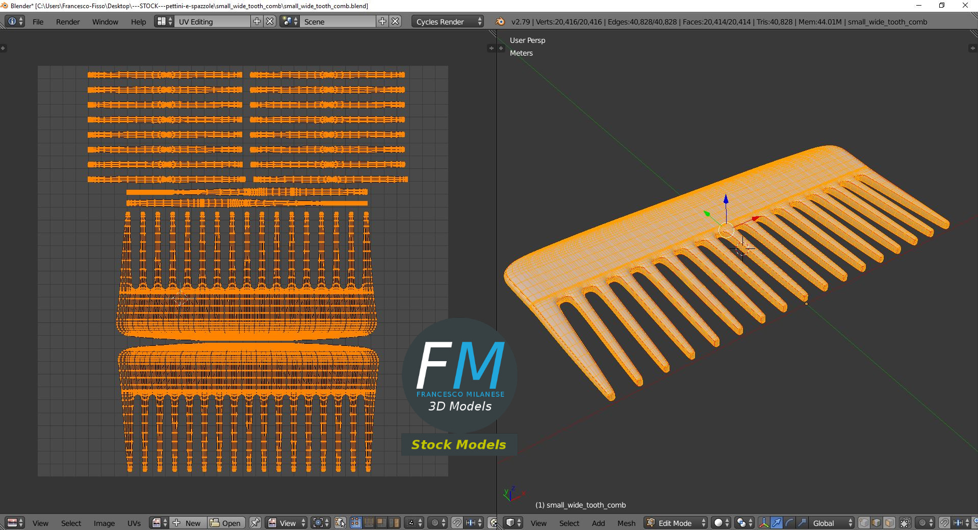 3D-Modell - Kleiner Breitzahnkamm - 10