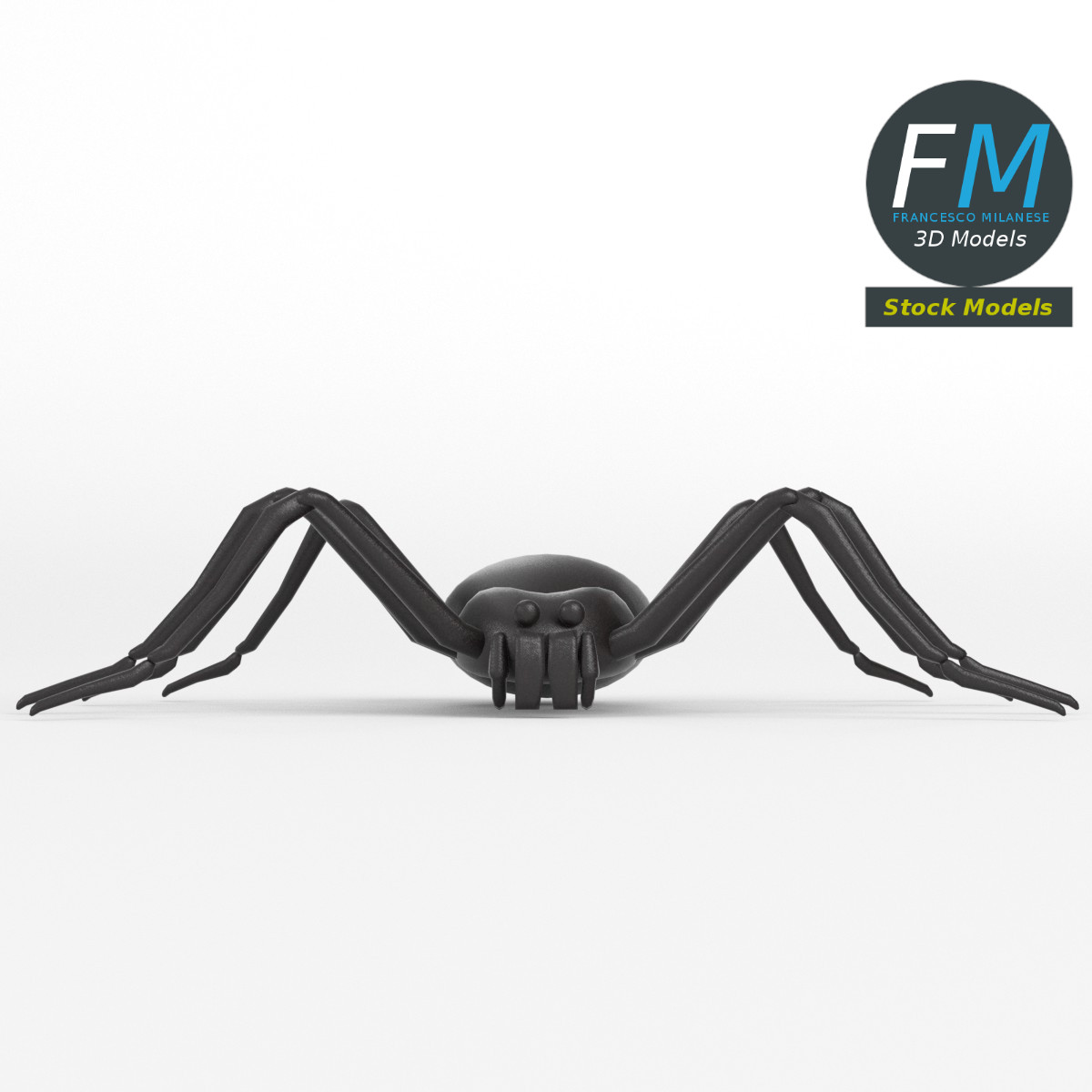 3D-Modell - Spinnen-Basismesh - 03