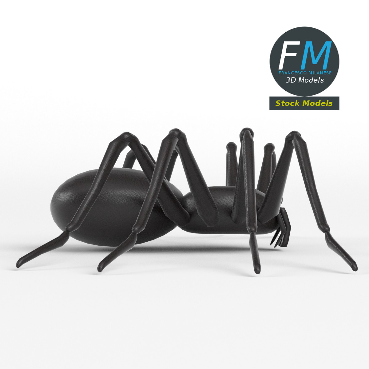3D-Modell - Spinnen-Basismesh - 04