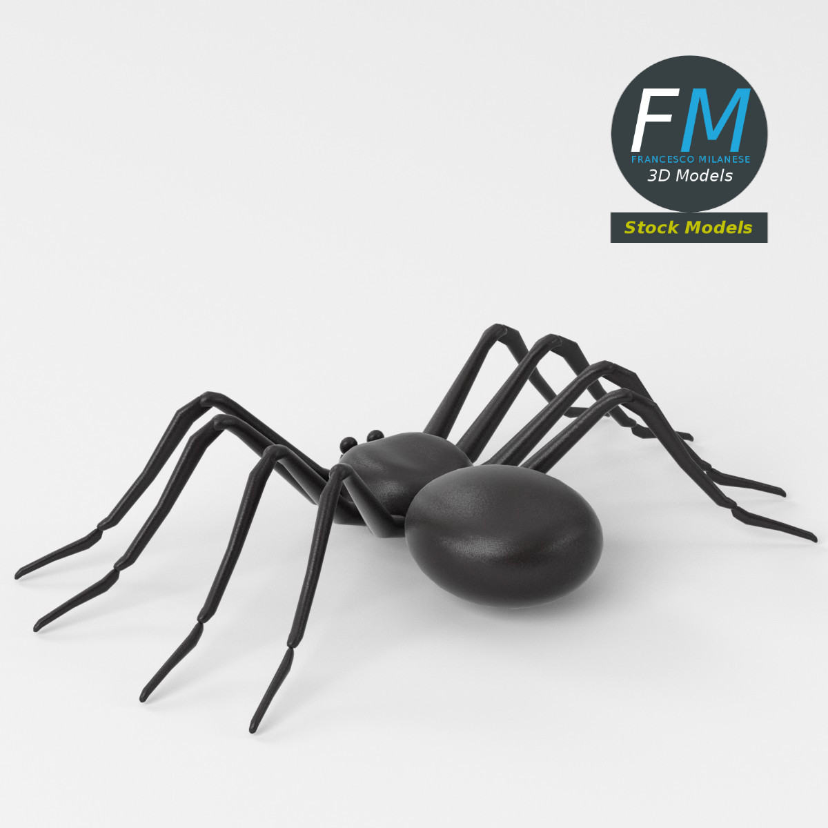 3D-Modell - Spinnen-Basismesh - 05