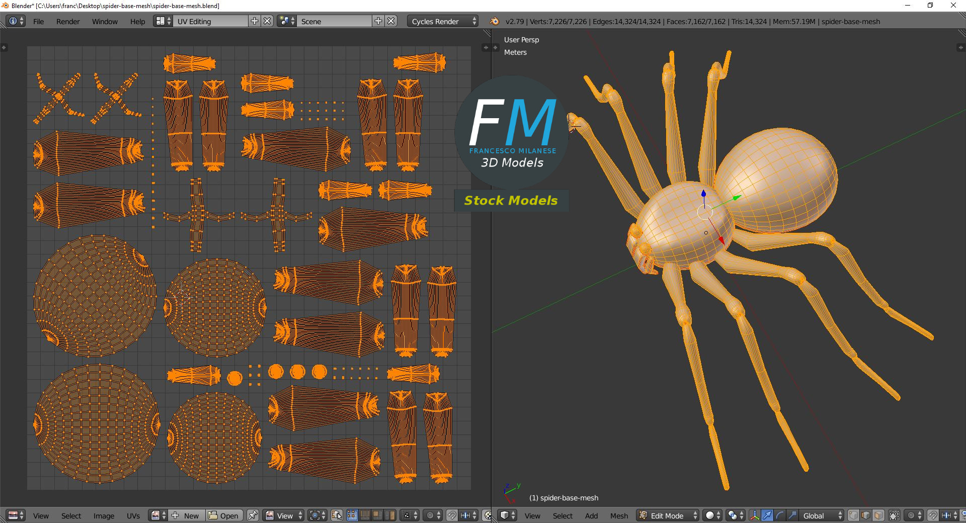 3D-Modell - Spinnen-Basismesh - 10