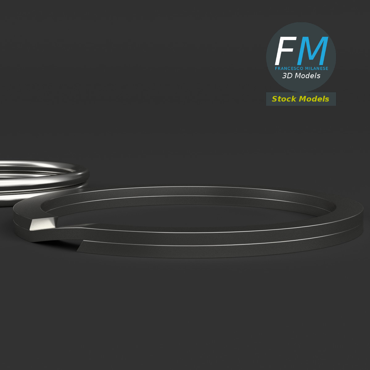 3D-Modell - Set aus Spaltringen - 04