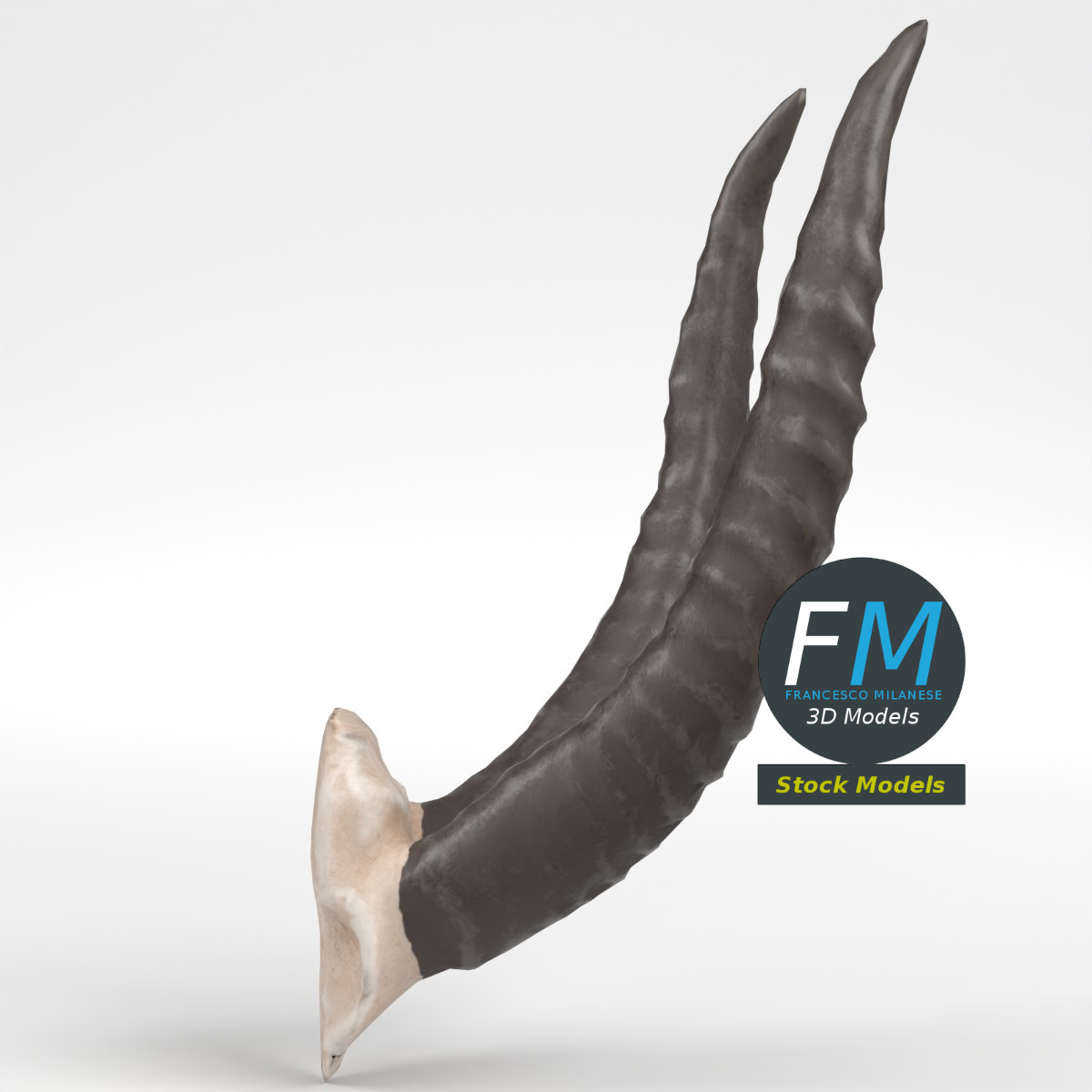 3D-Modell - Stilisierte Tierhörner - 04