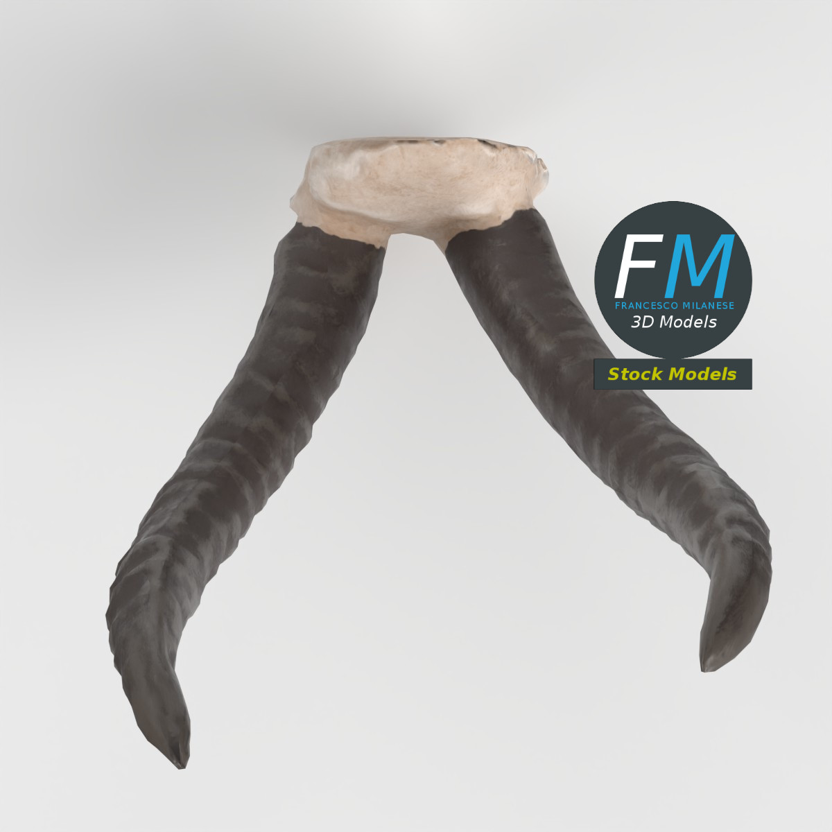 3D-Modell - Stilisierte Tierhörner - 06