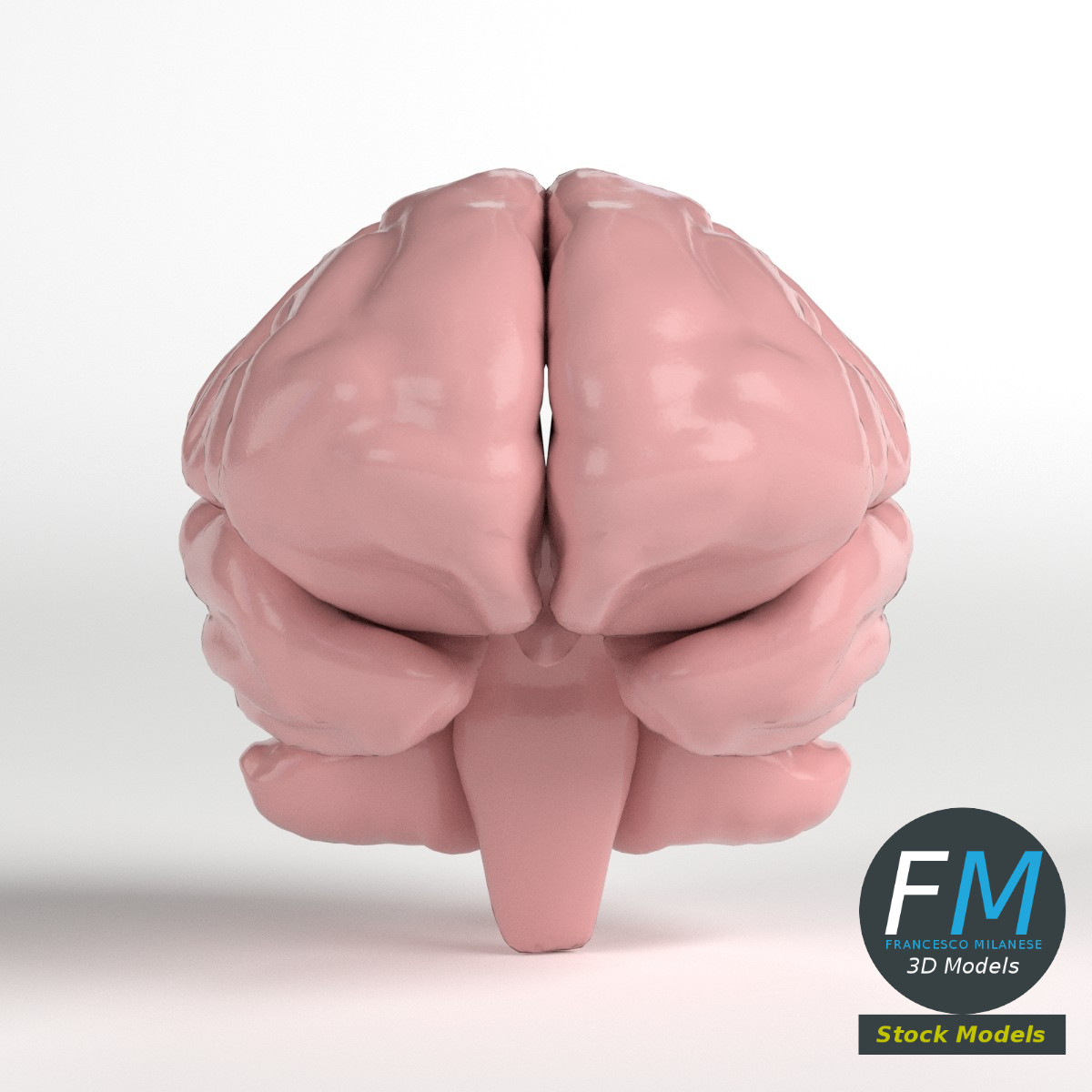 3D-Modell - Stilisiertes Menschliches Gehirn - 03