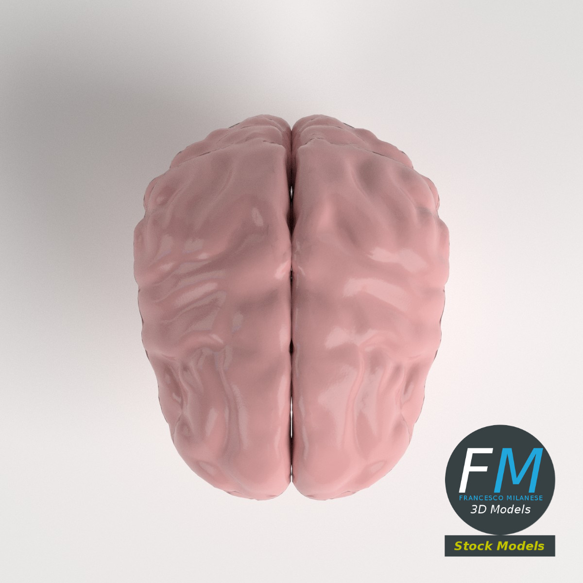 3D-Modell - Stilisiertes Menschliches Gehirn - 06