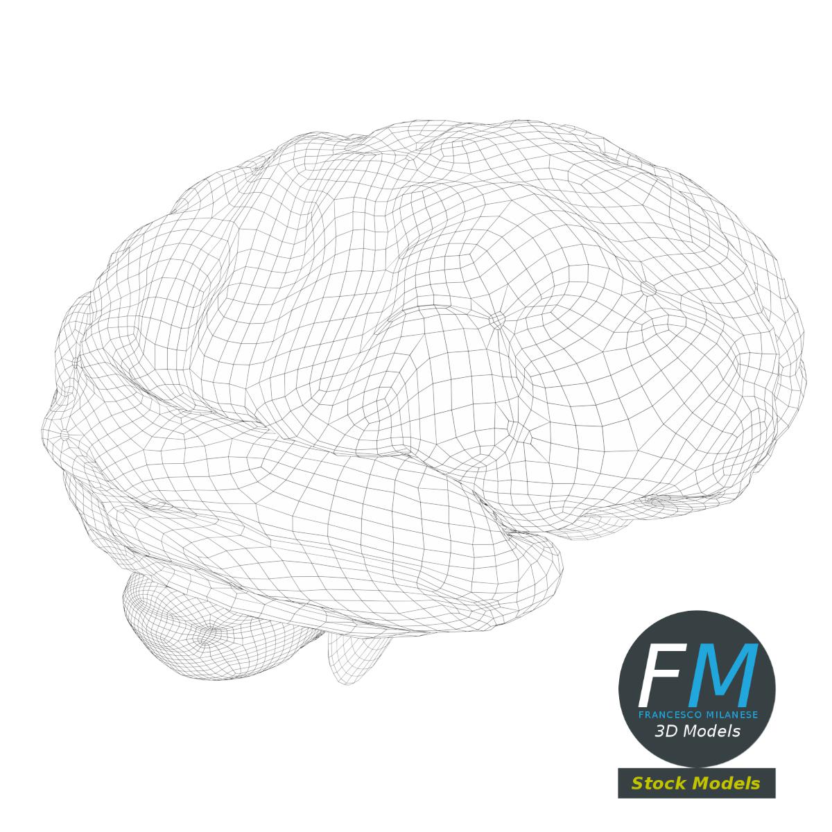 3D-Modell - Stilisiertes Menschliches Gehirn - 07