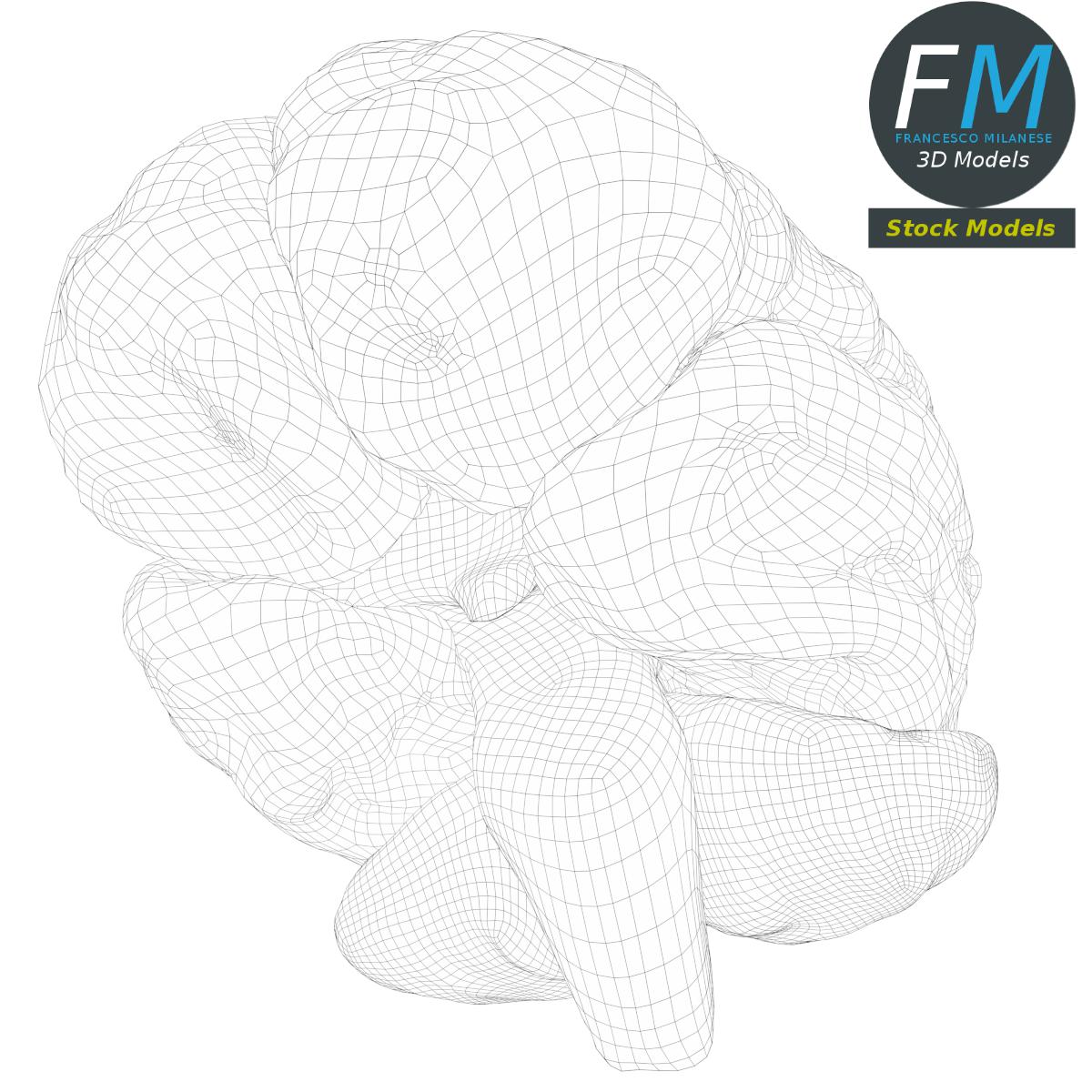 3D-Modell - Stilisiertes Menschliches Gehirn - 08