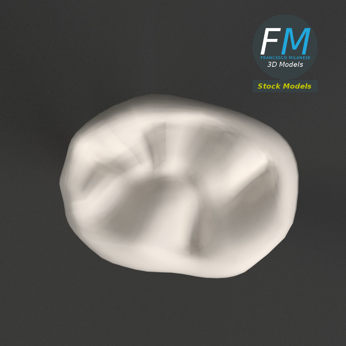 3D-Modell - Stilisierter Menschlicher Erster Molar - 06