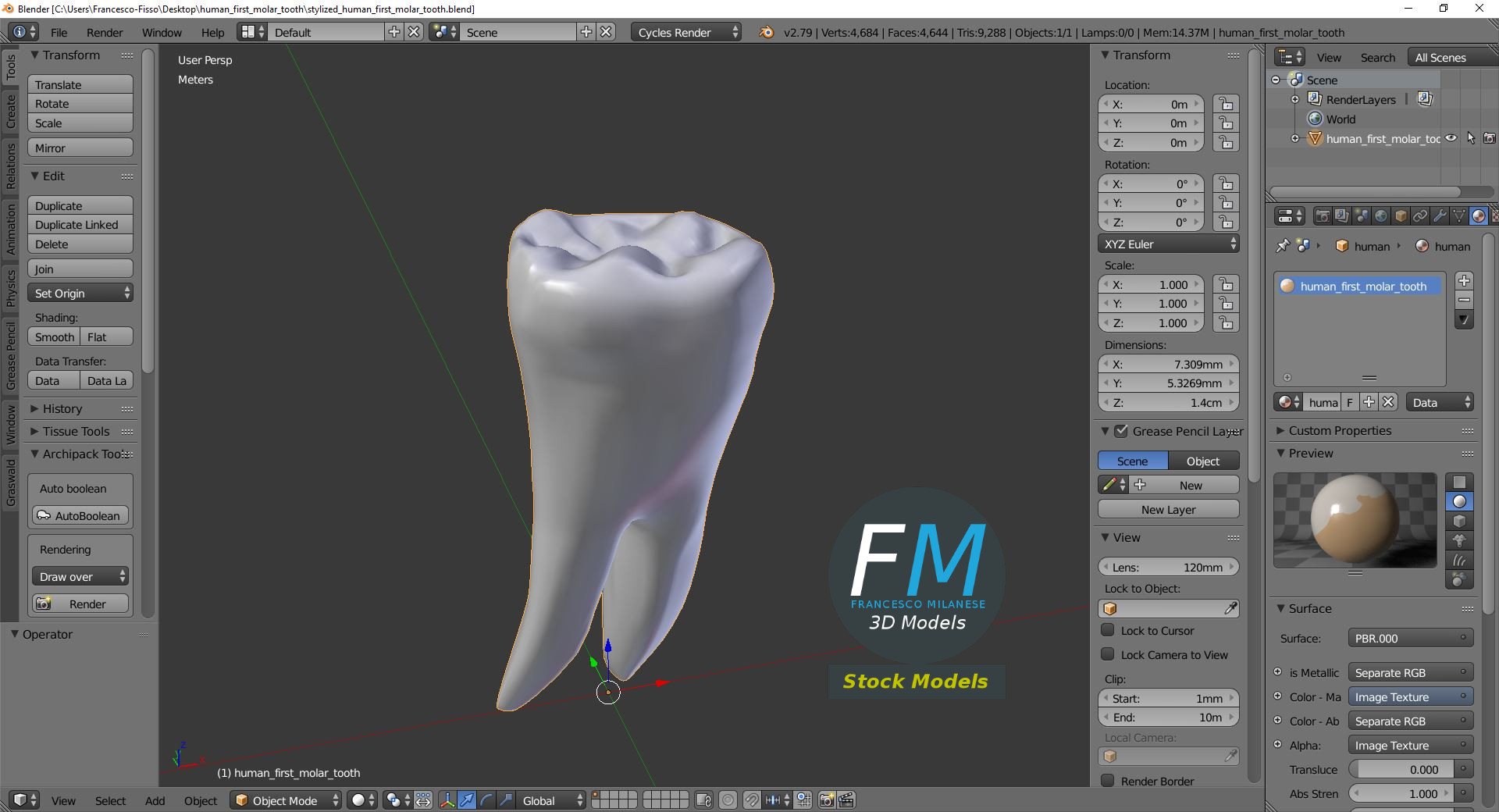 3D-Modell - Stilisierter Menschlicher Erster Molar - 09