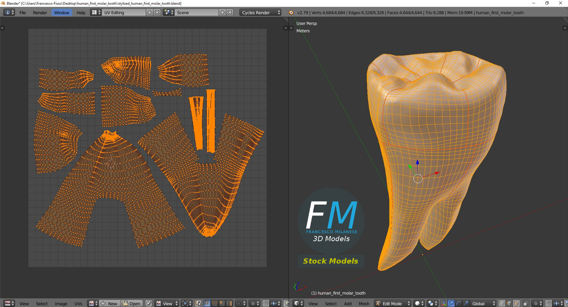 3D-Modell - Stilisierter Menschlicher Erster Molar - 10