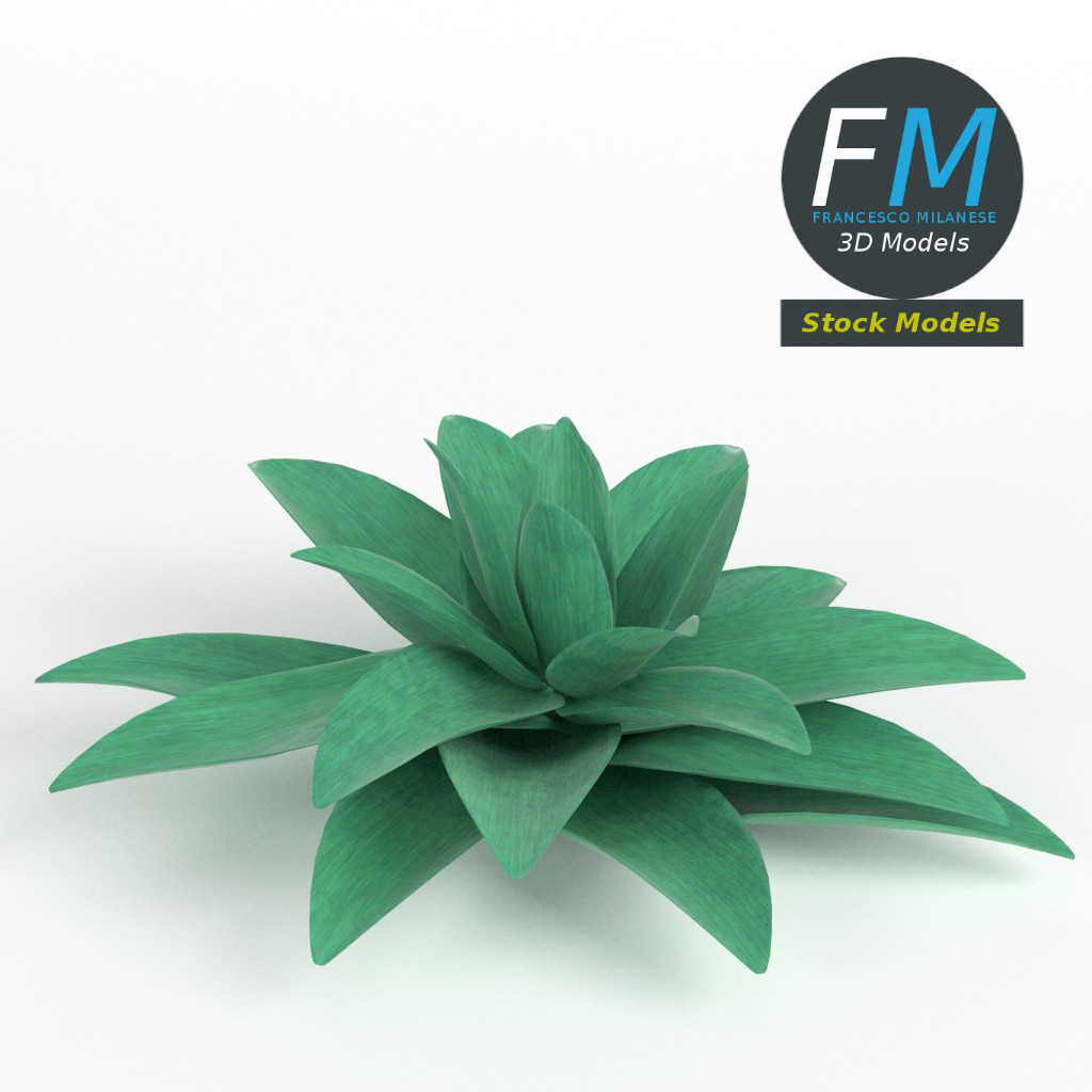 3D-Modell - Stilisierte Sukkulente - 01