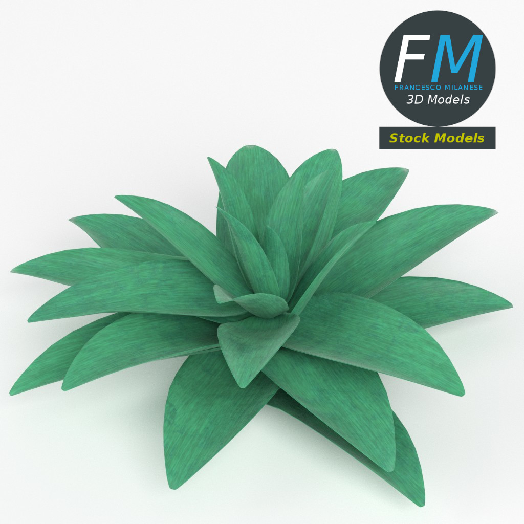 3D-Modell - Stilisierte Sukkulente - 02