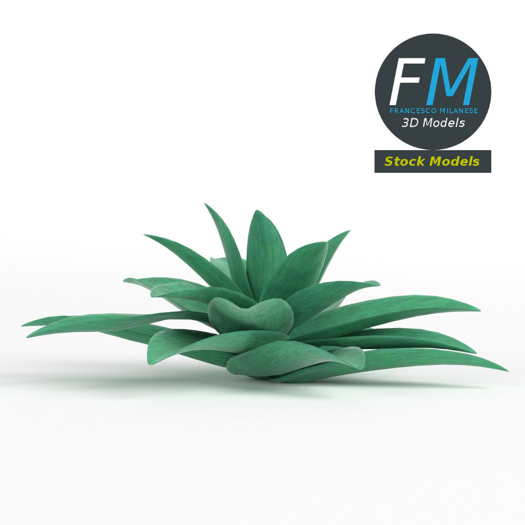 3D-Modell - Stilisierte Sukkulente - 03