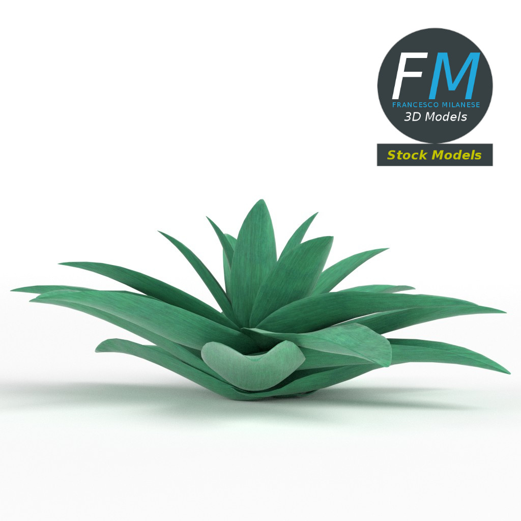 3D-Modell - Stilisierte Sukkulente - 04