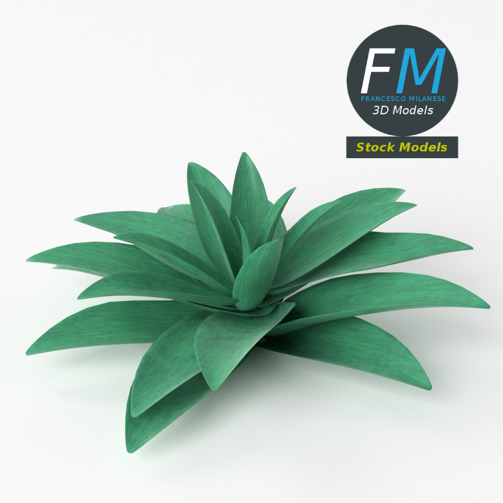 3D-Modell - Stilisierte Sukkulente - 05