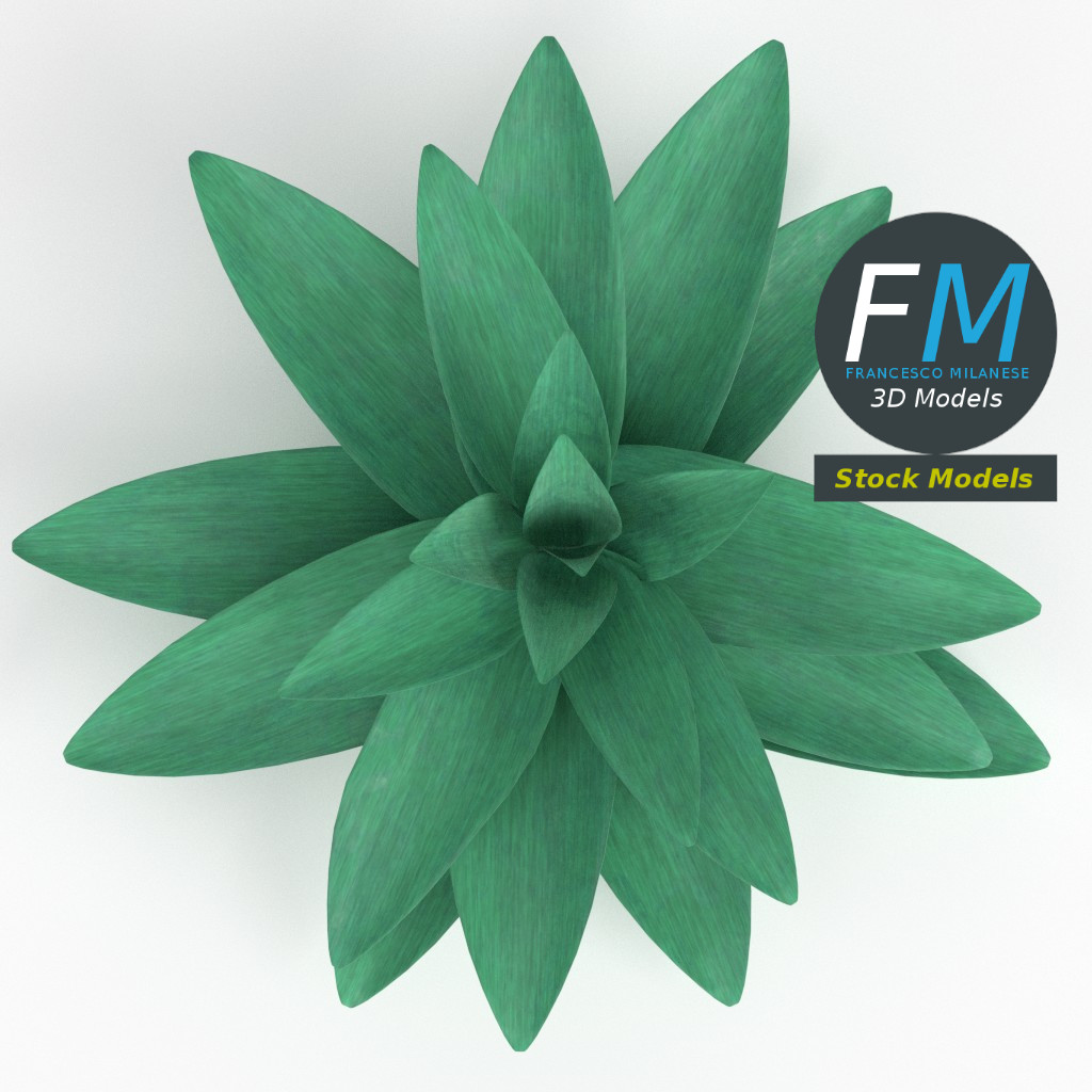 3D-Modell - Stilisierte Sukkulente - 06