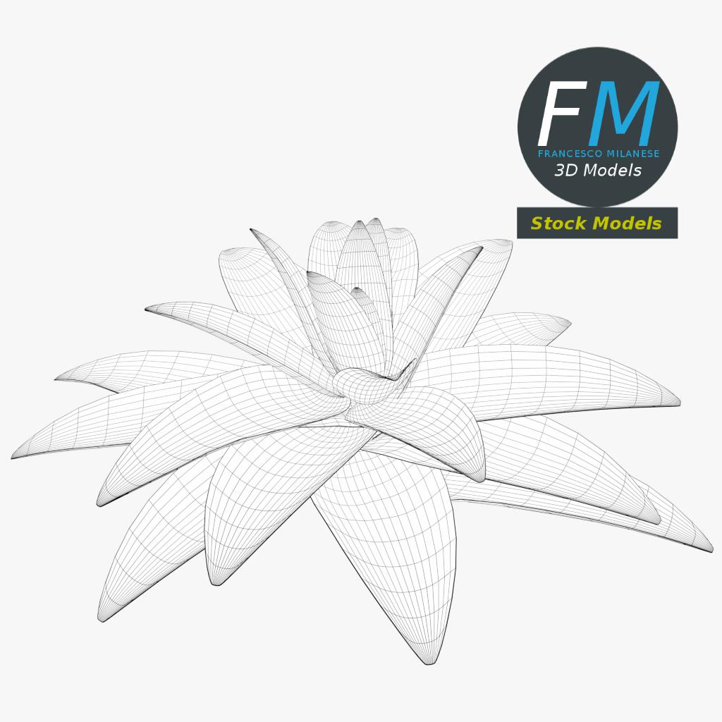 3D-Modell - Stilisierte Sukkulente - 07