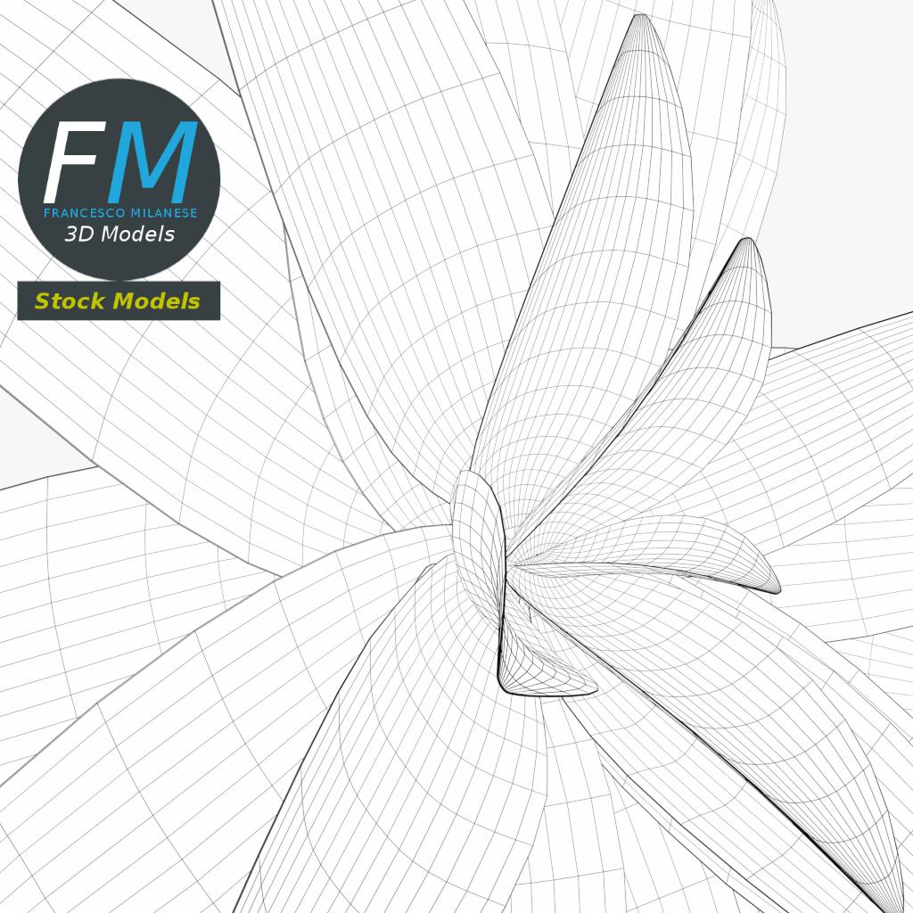 3D-Modell - Stilisierte Sukkulente - 08