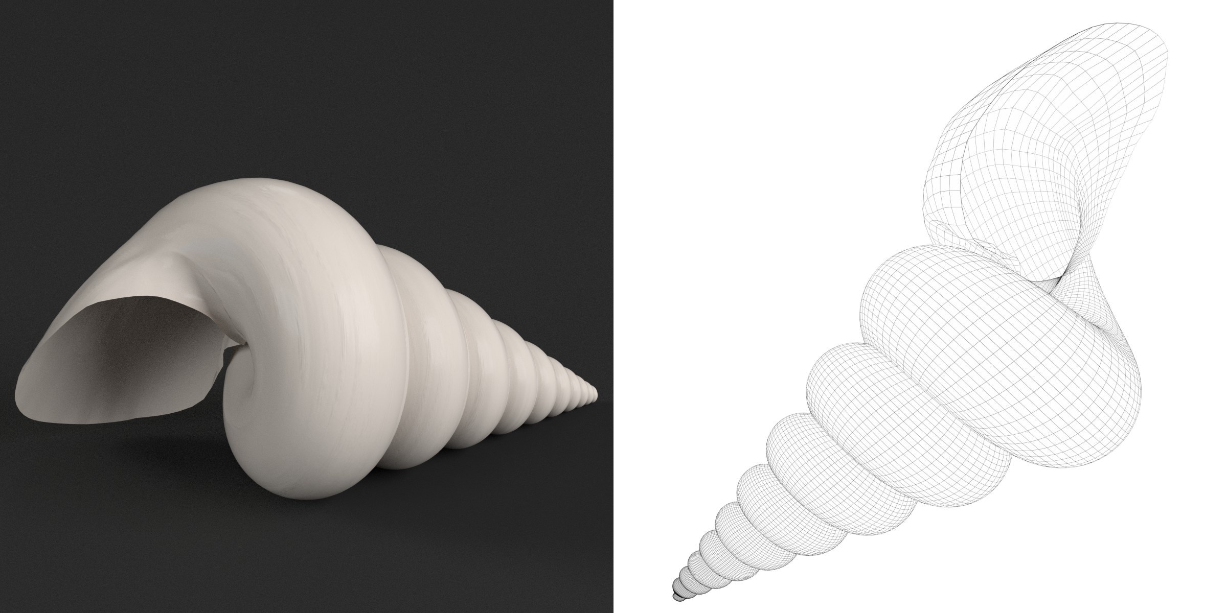 3D-Modell - Stilisierte Tritonschnecke