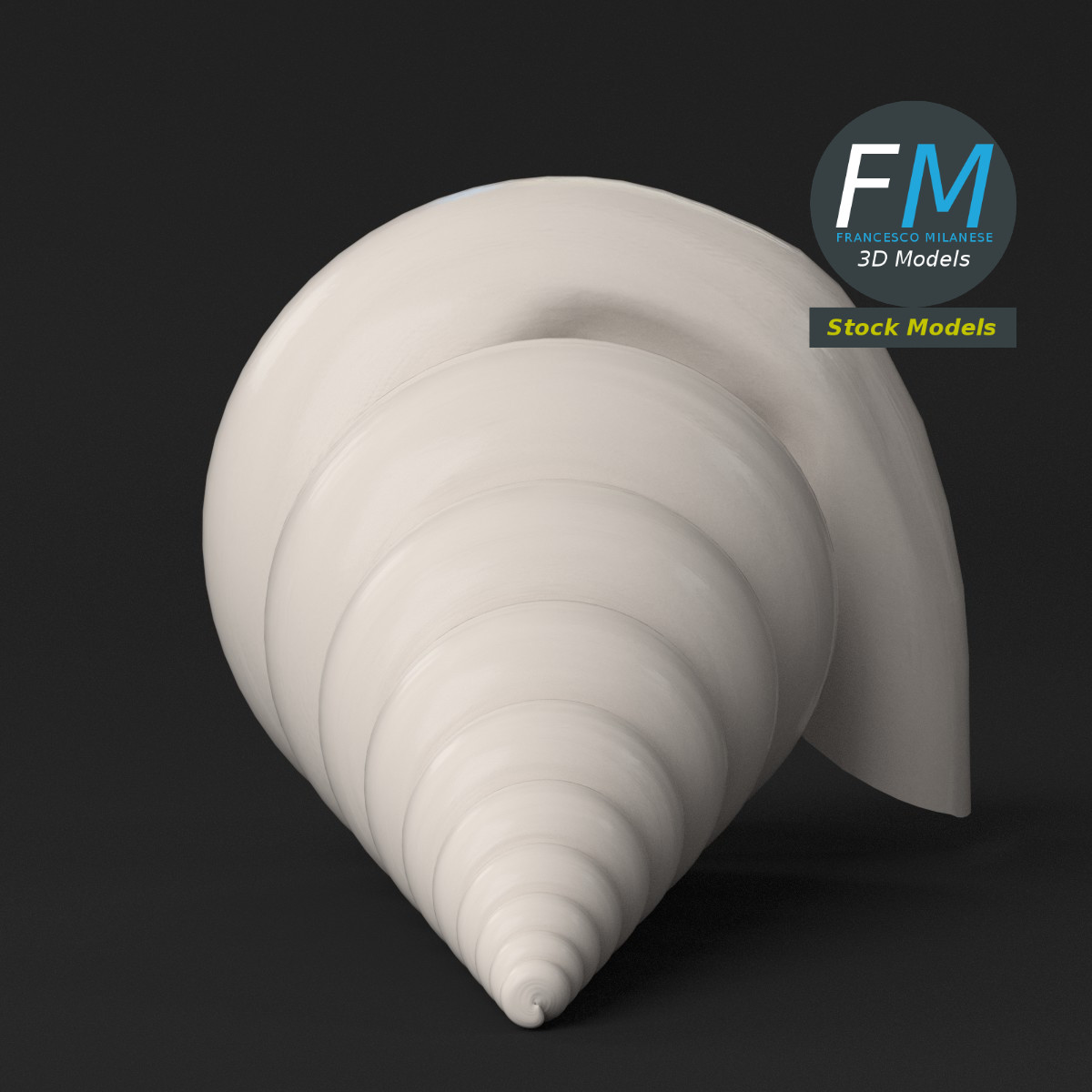 3D-Modell - Stilisierte Tritonschnecke - 05
