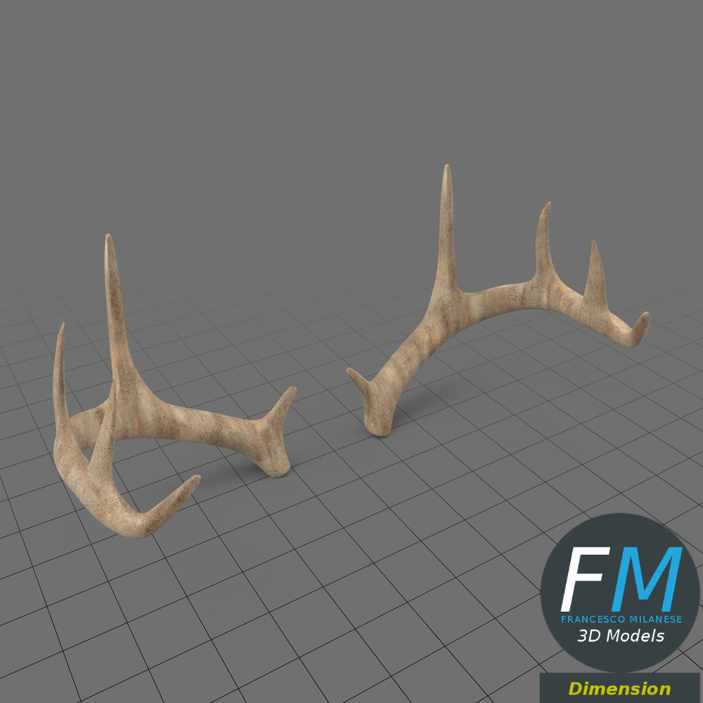 Antlers Adobe Dimension 3D Model