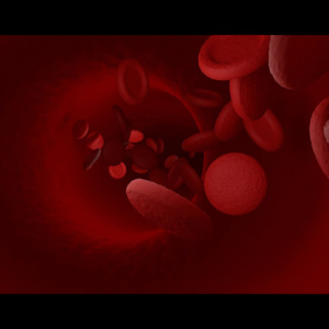 BLENDER - Red Blood Cells animation (Displace, Emitter particle system, force field)