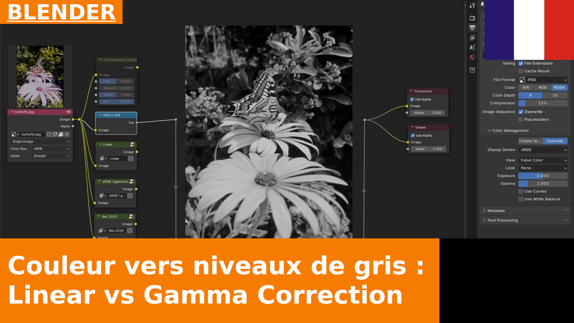 De la couleur aux niveaux de gris : Linear vs sRGB avec correction gamma | Compositing dans Blender 4.3